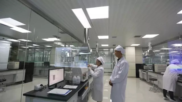 PP���ӡ�������(������Ϸ)�ٷ���վ