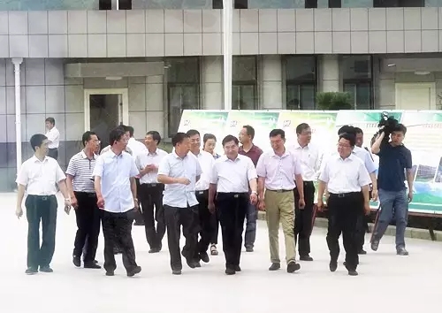 PP���ӡ�������(������Ϸ)�ٷ���վ