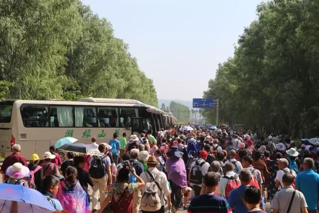 PP���ӡ�������(������Ϸ)�ٷ���վ