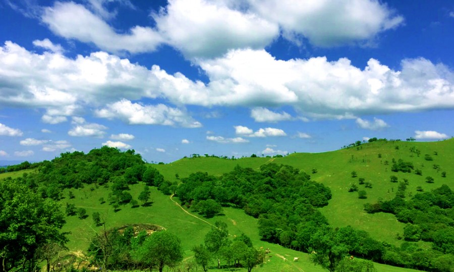 PP���ӡ�������(������Ϸ)�ٷ���վ