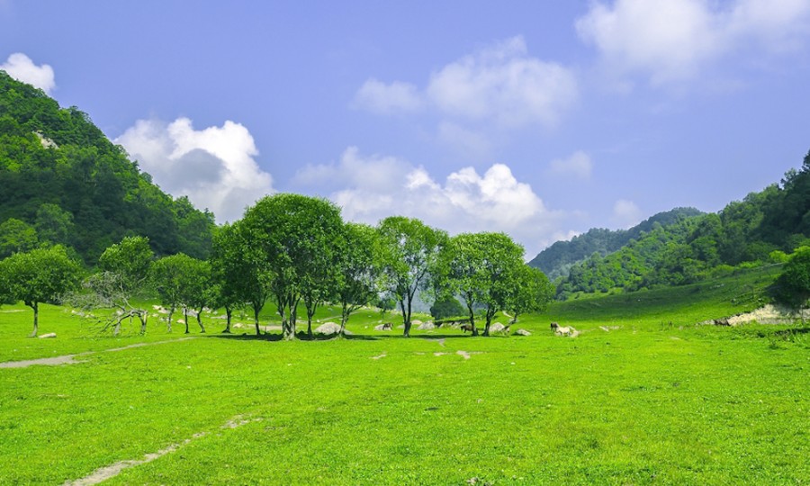 PP���ӡ�������(������Ϸ)�ٷ���վ