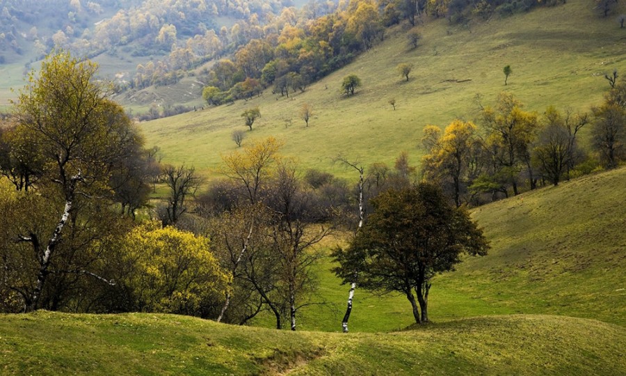 PP���ӡ�������(������Ϸ)�ٷ���վ