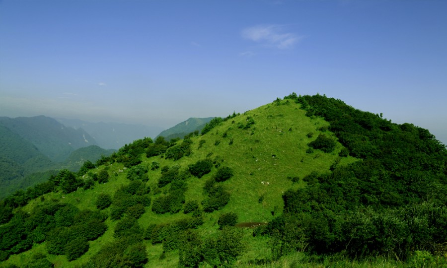 PP���ӡ�������(������Ϸ)�ٷ���վ