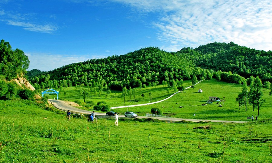 PP���ӡ�������(������Ϸ)�ٷ���վ