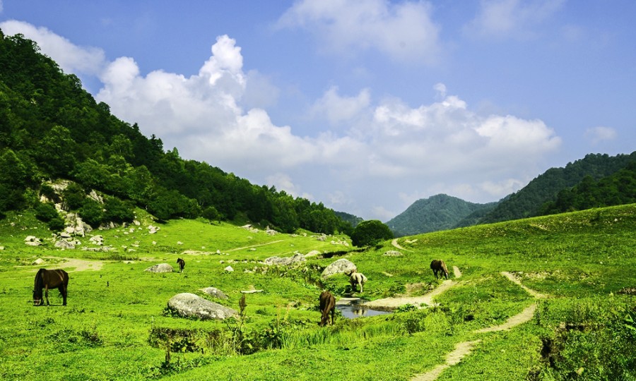 PP���ӡ�������(������Ϸ)�ٷ���վ