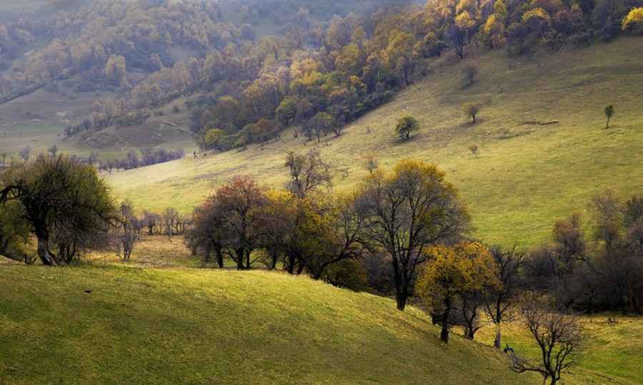 PP���ӡ�������(������Ϸ)�ٷ���վ