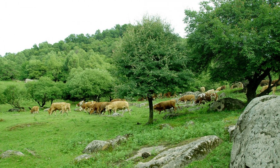 PP���ӡ�������(������Ϸ)�ٷ���վ