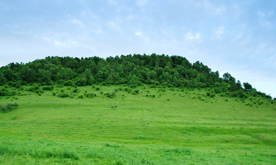 PP���ӡ�������(������Ϸ)�ٷ���վ