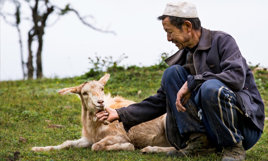 PP���ӡ�������(������Ϸ)�ٷ���վ