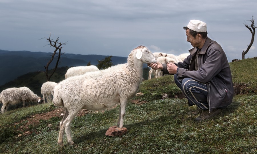 PP���ӡ�������(������Ϸ)�ٷ���վ