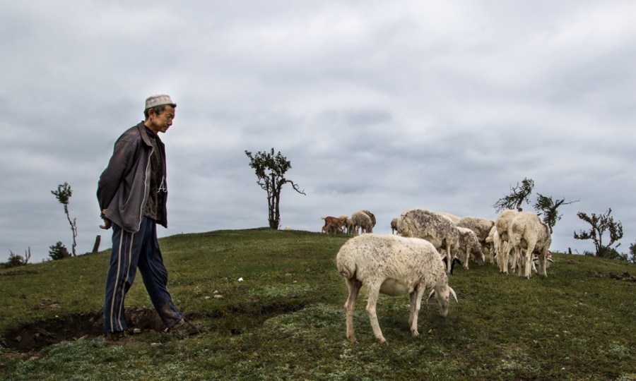 PP���ӡ�������(������Ϸ)�ٷ���վ