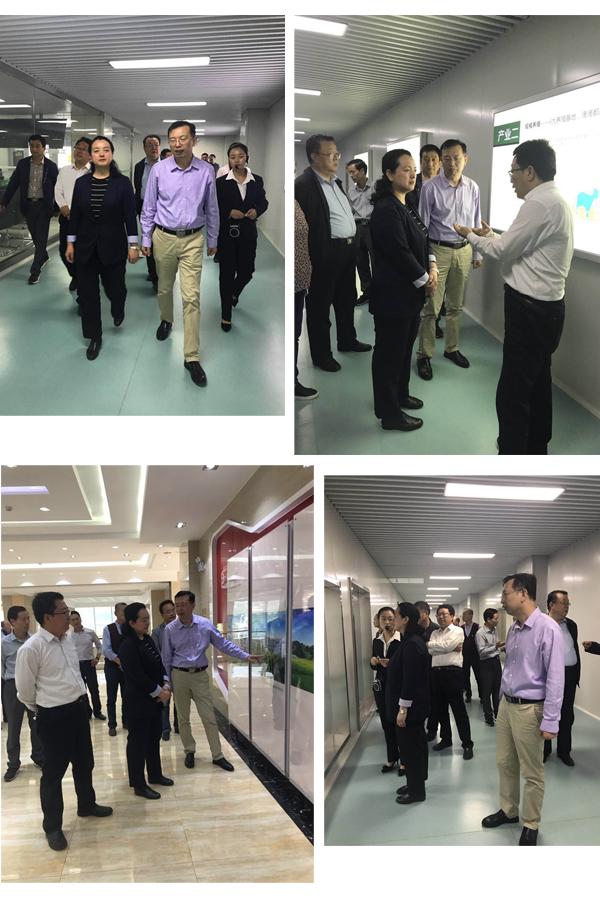 PP���ӡ�������(������Ϸ)�ٷ���վ