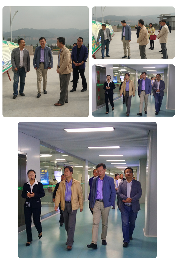 PP���ӡ�������(������Ϸ)�ٷ���վ