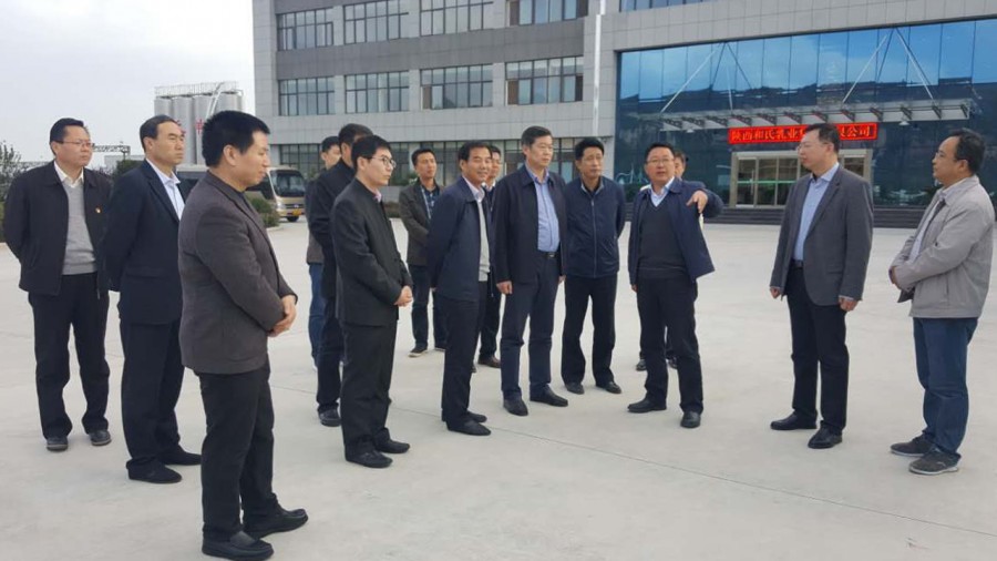 PP���ӡ�������(������Ϸ)�ٷ���վ