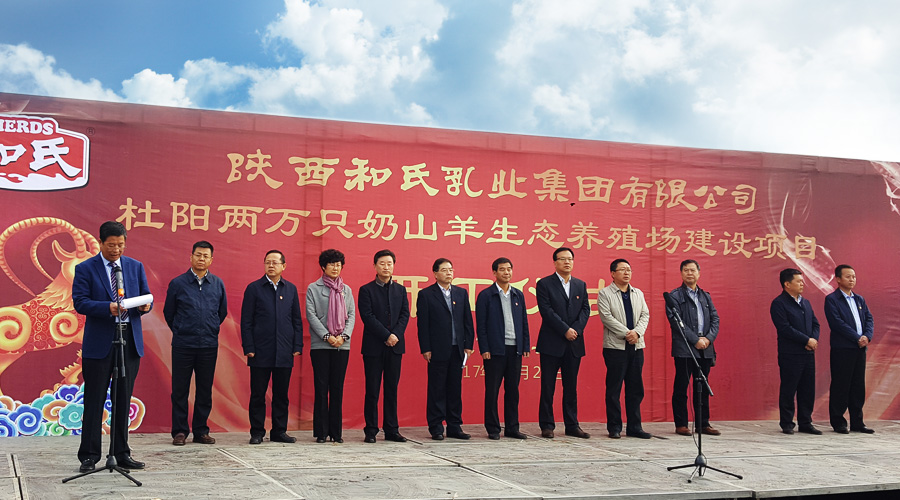 PP���ӡ�������(������Ϸ)�ٷ���վ