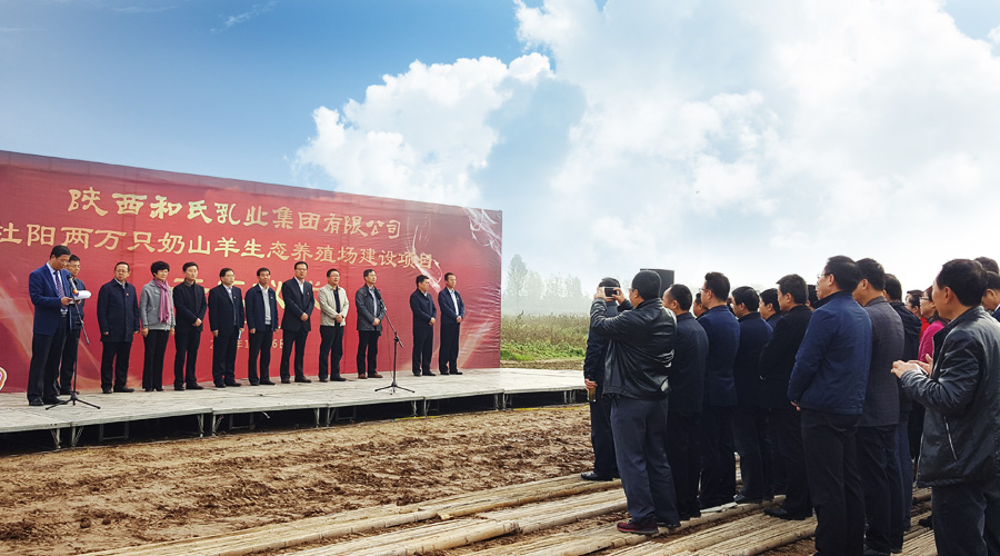 PP���ӡ�������(������Ϸ)�ٷ���վ