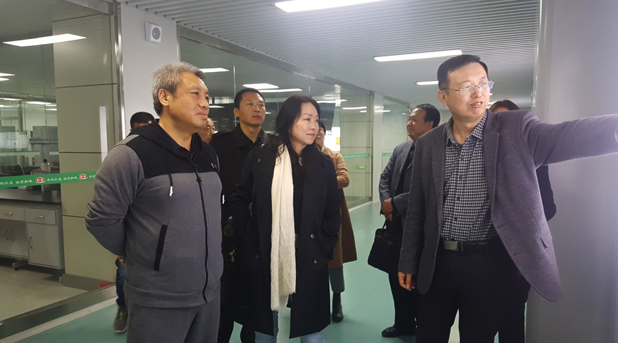 PP���ӡ�������(������Ϸ)�ٷ���վ