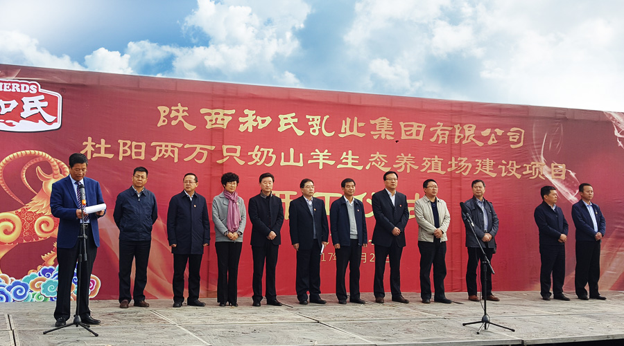 PP���ӡ�������(������Ϸ)�ٷ���վ