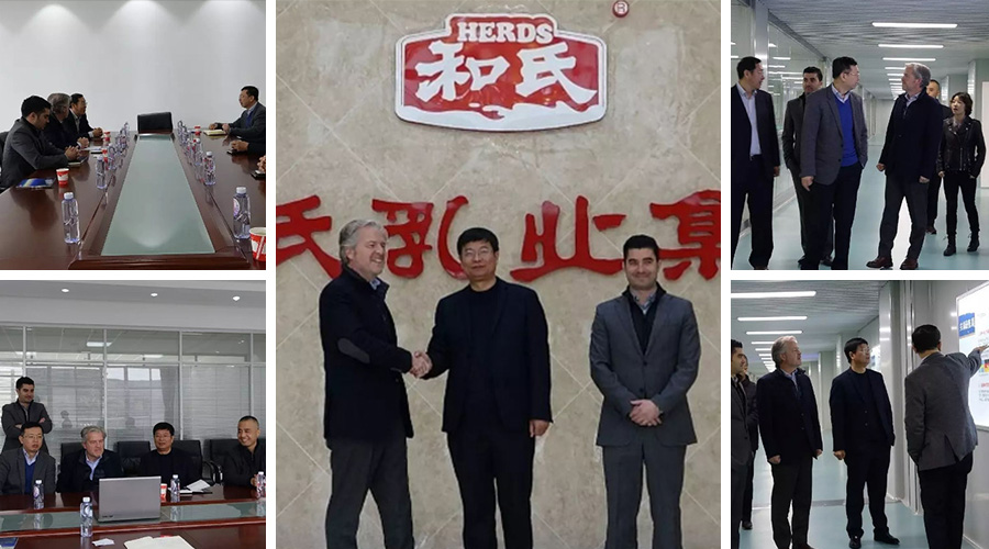 PP���ӡ�������(������Ϸ)�ٷ���վ