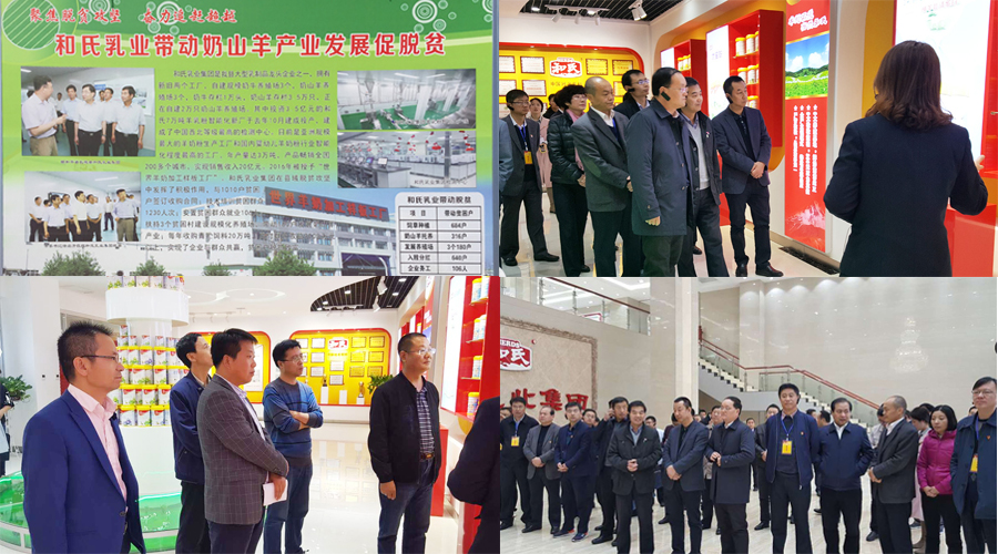 PP���ӡ�������(������Ϸ)�ٷ���վ