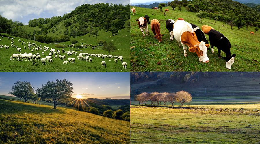 PP���ӡ�������(������Ϸ)�ٷ���վ