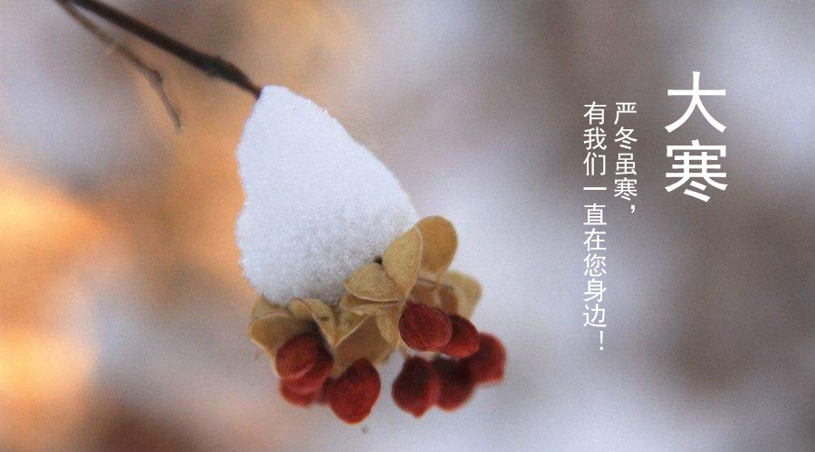 PP���ӡ�������(������Ϸ)�ٷ���վ