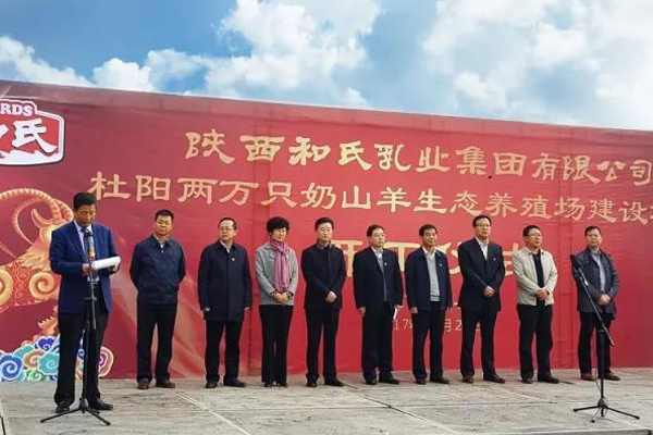 PP���ӡ�������(������Ϸ)�ٷ���վ