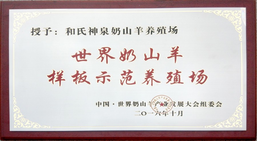 PP���ӡ�������(������Ϸ)�ٷ���վ