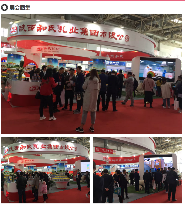 PP���ӡ�������(������Ϸ)�ٷ���վ