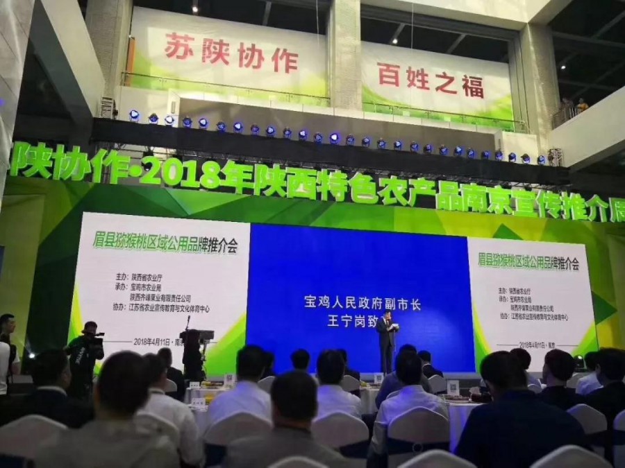 PP���ӡ�������(������Ϸ)�ٷ���վ