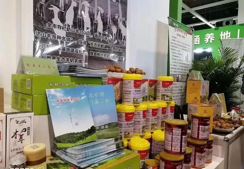 PP���ӡ�������(������Ϸ)�ٷ���վ