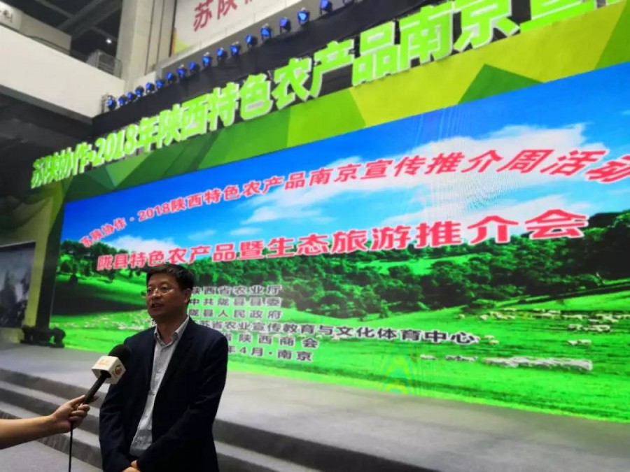 PP���ӡ�������(������Ϸ)�ٷ���վ