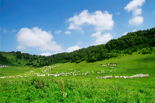 PP���ӡ�������(������Ϸ)�ٷ���վ