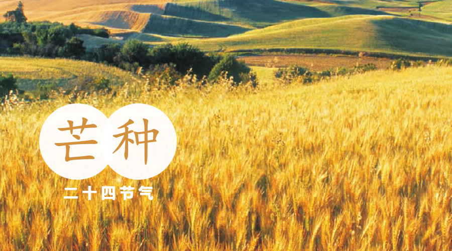 PP���ӡ�������(������Ϸ)�ٷ���վ