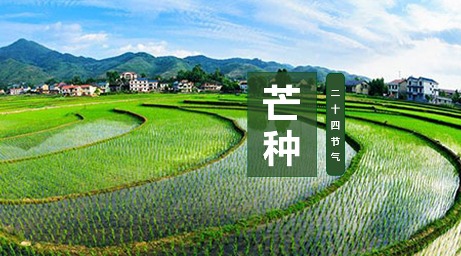 PP���ӡ�������(������Ϸ)�ٷ���վ