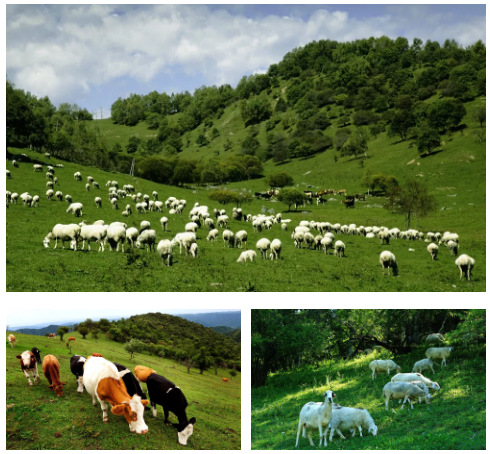 PP���ӡ�������(������Ϸ)�ٷ���վ