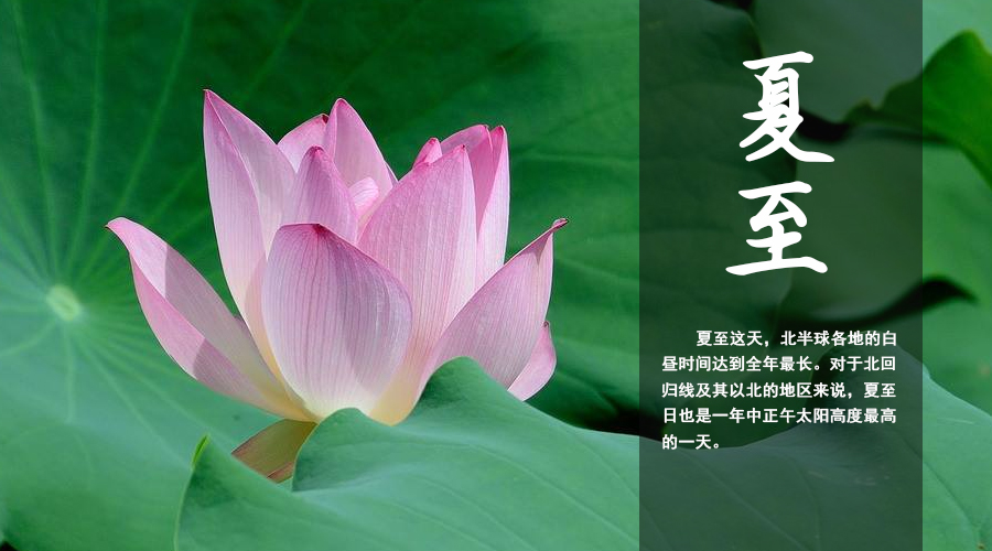 PP���ӡ�������(������Ϸ)�ٷ���վ