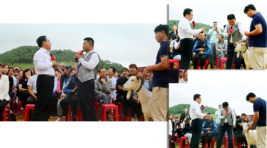 PP���ӡ�������(������Ϸ)�ٷ���վ