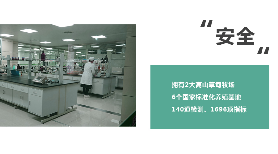 PP���ӡ�������(������Ϸ)�ٷ���վ