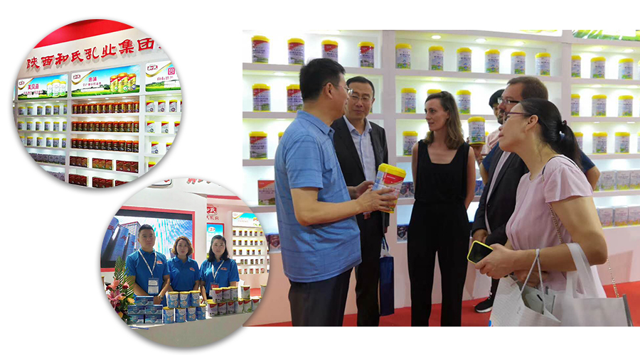 PP���ӡ�������(������Ϸ)�ٷ���վ