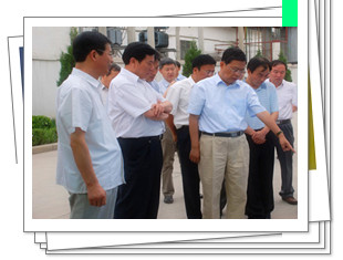 PP���ӡ�������(������Ϸ)�ٷ���վ