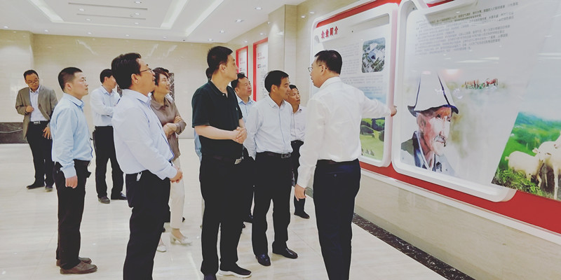 PP���ӡ�������(������Ϸ)�ٷ���վ