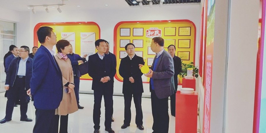 PP���ӡ�������(������Ϸ)�ٷ���վ