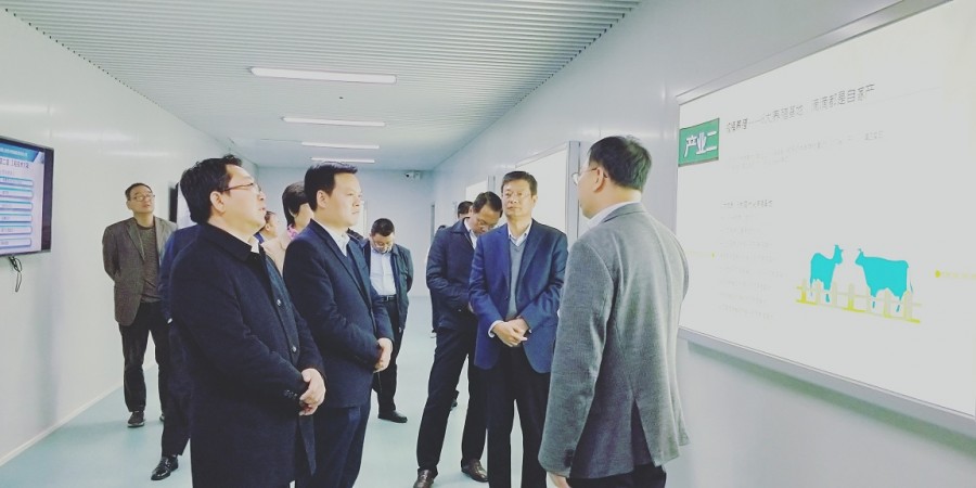 PP���ӡ�������(������Ϸ)�ٷ���վ