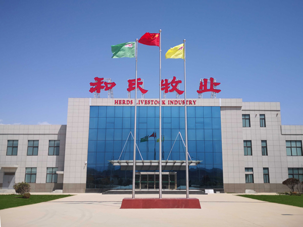 PP���ӡ�������(������Ϸ)�ٷ���վ