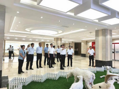 PP���ӡ�������(������Ϸ)�ٷ���վ