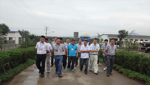 PP���ӡ�������(������Ϸ)�ٷ���վ