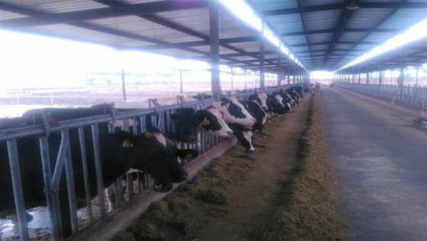 PP���ӡ�������(������Ϸ)�ٷ���վ