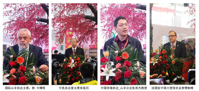 PP���ӡ�������(������Ϸ)�ٷ���վ