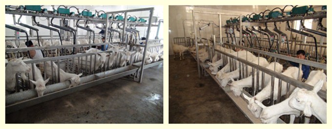 PP���ӡ�������(������Ϸ)�ٷ���վ